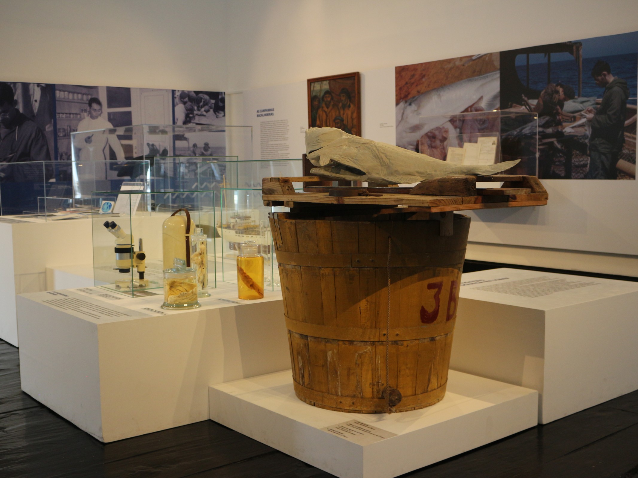 Visita especial à exposição  "Mar Oceano: Legado de Mário Ruivo"
