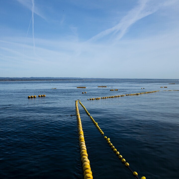 Visita Especial do autor Eduardo Martins