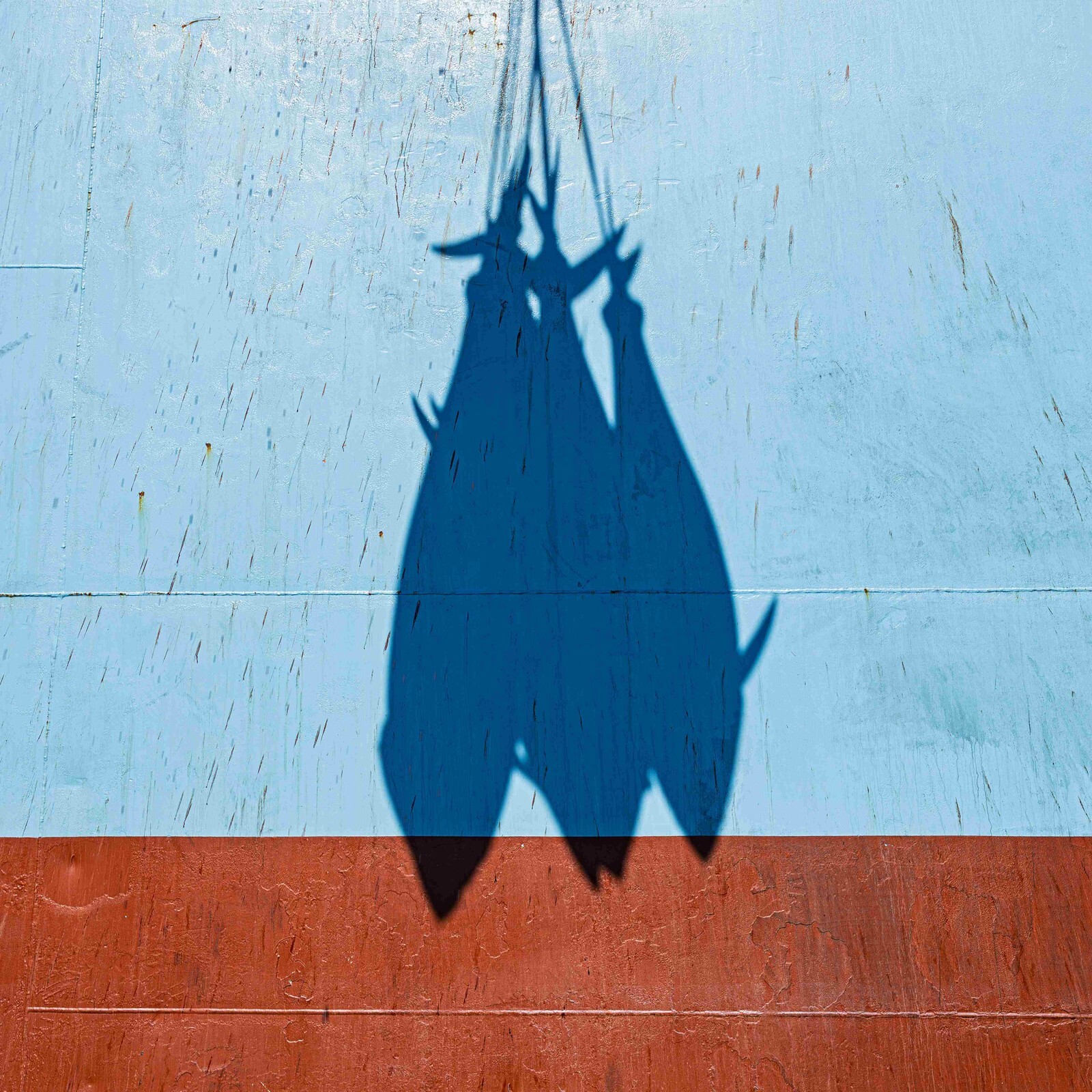 "Património em rede: um peixe, uma comunidade, dois países" - Visita especial com Eduardo Martins