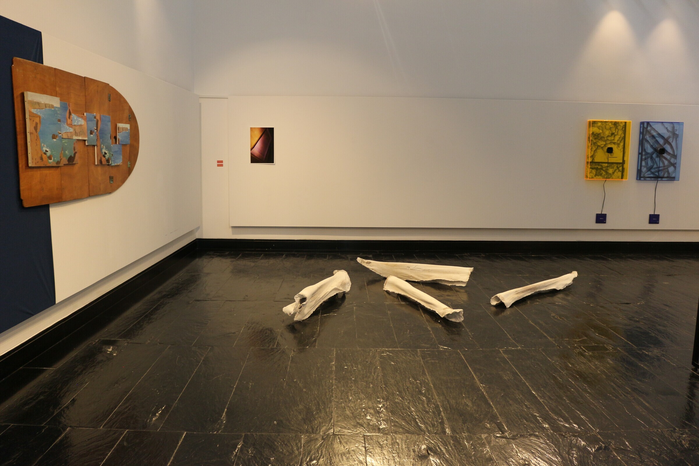 "Azul em Festa" - Visita diálogo 