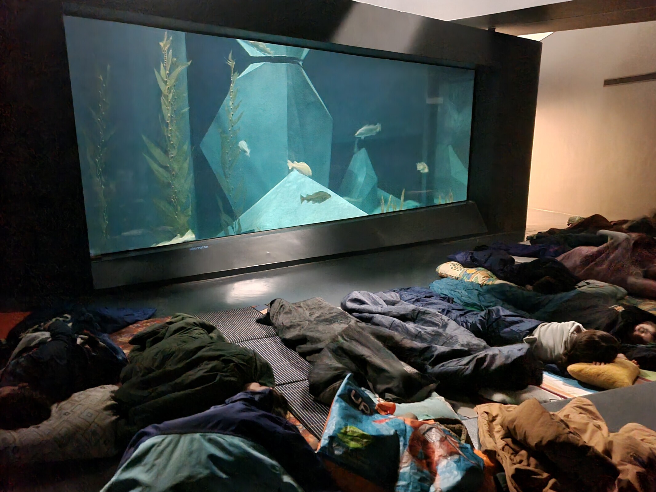 Noite no Museu - outubro